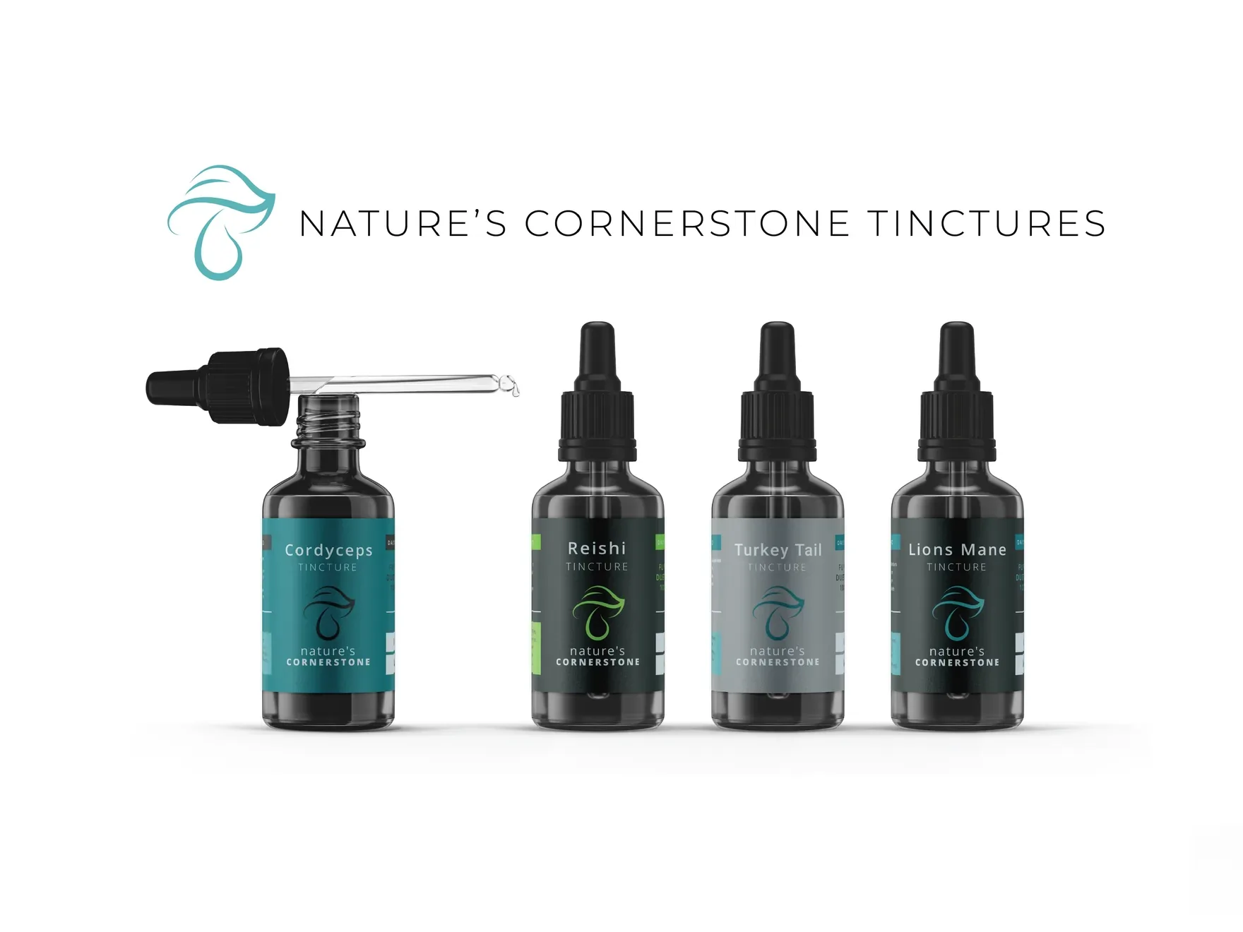 Line-up of four Nature’s Cornerstone tincture bottles with a dropper, under the brand name and mushroom line mark.